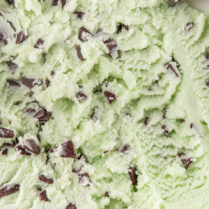 Mint Chocolate Chip